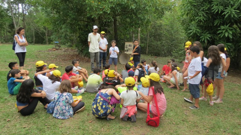 Grupos pedagogico
