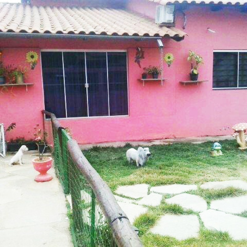 Frente